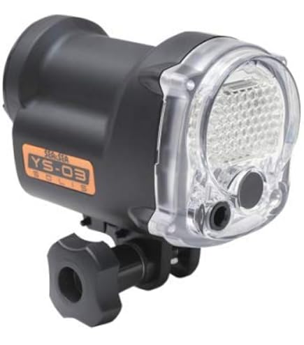 Amazon.co.jp: INON イノン D-200 Type2 広角 軽量 スーパー
